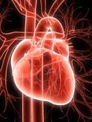 sistema cardiovascular e hipertensión